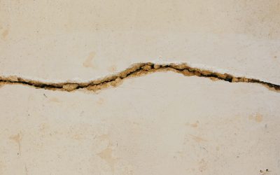 A Time of Bifurcation