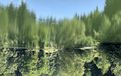 Moving Towards Bliss