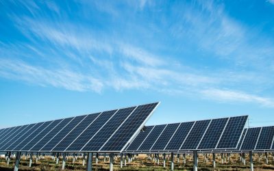 Using AI Mindfully & Ecologically